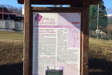 Rifacimento bacheche informative sul territorio comunale dedicate alla tradizione viticola e frutticola