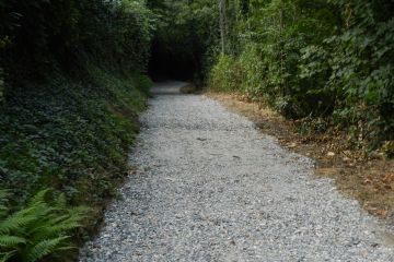 Rifacimento strada bianca di collegamento fra località Serborello e Strada Canavero