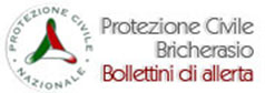 Protezione Civile Bricherasio