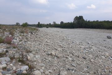 Opere AIPO, a seguito di progettazione congiunta dei Comuni di Bricherasio e Campiglione, con movimentazione materiale dal centro alveo a protezione della sponda destra del torrente, a difesa della borgata Pertusio.