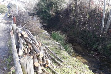 Intervento di taglio vegetazione a cura del Comune, di privati e dei Forestali Regionali lungo il canale "Pellicciotto" in località Pentura e lungo la SP158