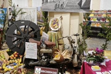 Stand di Bricherasio alla rassegna Tuttomele 2024