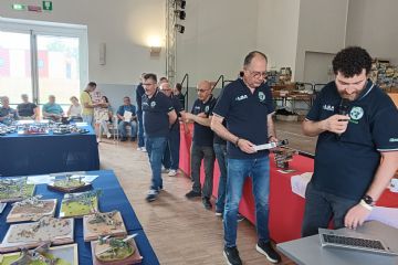 Mostra modellismo
