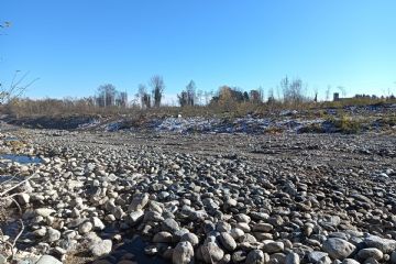 Opere di manutenzione ordinaria dell'alveo con movimentazione di materiale a cura di AIPO (loc. Colombere-Calliera e Zumaglini)