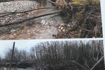 Manutenzione scogliere esistenti e pulizia alveo Chiamogna in località Giordanetto e Gioietta