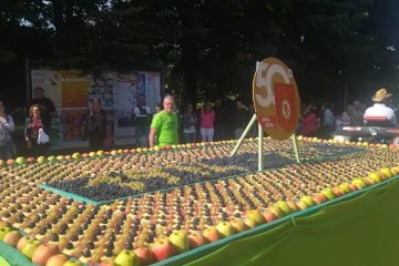 Sfilata carri, festa in paese 