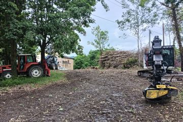 Intervento di miglioramento forestale nell'ambito del progetto PNRR Green Communities (nuovo Consorzio Forestale)