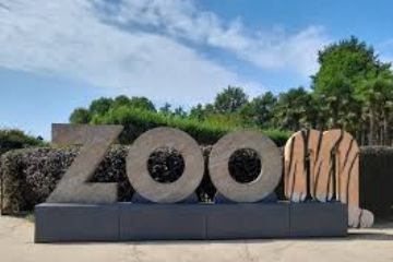 Accesso gratuito al Bioparco Zoom per residenti di Bricherasio