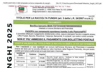 Titolo abilitativo per raccolta funghi 2025