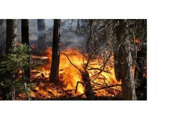 Prescrizioni stato di massima pericolosità per incendi boschivi